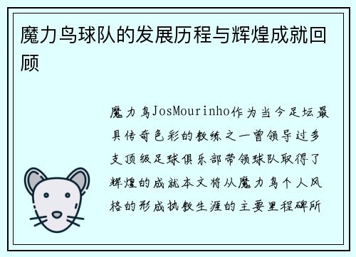 魔力鸟球队的发展历程与辉煌成就回顾