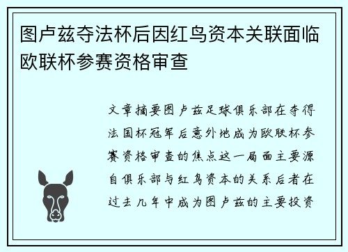 图卢兹夺法杯后因红鸟资本关联面临欧联杯参赛资格审查 图卢兹夺法杯后因红鸟资本关联面临欧联杯参赛资格审查